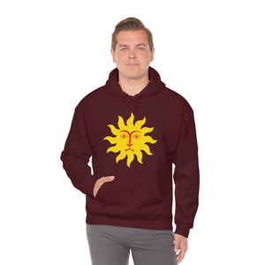 Ladies  Hooded Sweatshirt