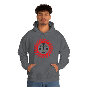 Kids Hoodies
