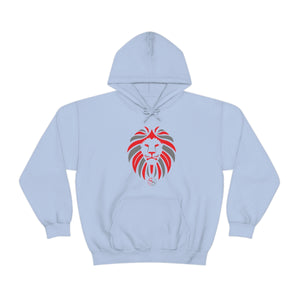 Kids Hoodies