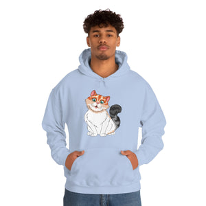 Ladies Hooded Sweatshirt