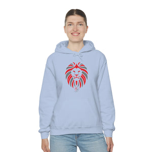 Men Hooded Sweatshirt