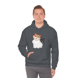 Ladies Hooded Sweatshirt