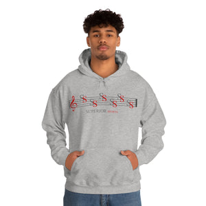 Ladies Hooded Sweatshirt