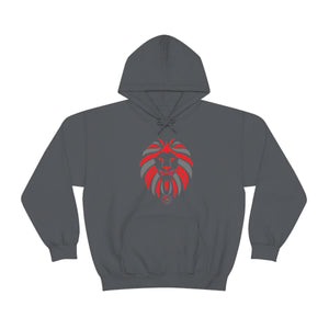 Kids Hoodies