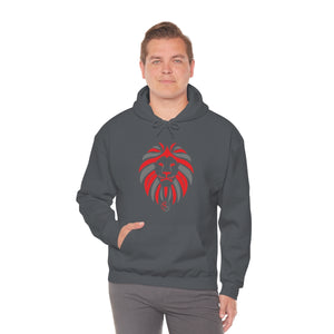 Kids Hoodies