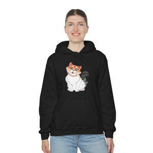 Ladies Hooded Sweatshirt