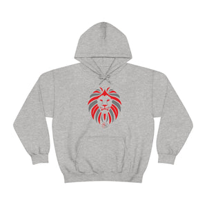 Kids Hoodies