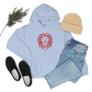 Kids Hoodies