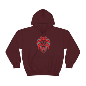 Kids Hoodies