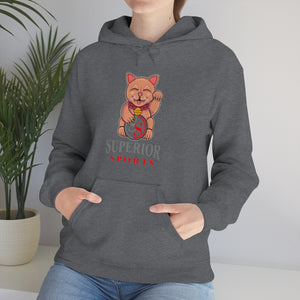 Ladies Hoodie