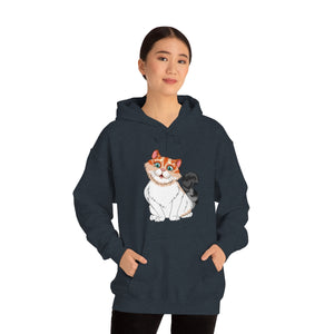 Ladies Hooded Sweatshirt