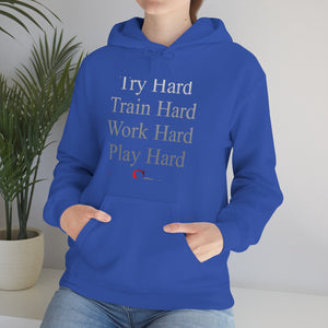 MEN HOODED SWEATSHIRT