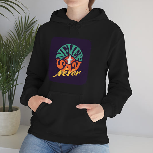 Ladies Hooded Sweatshirt