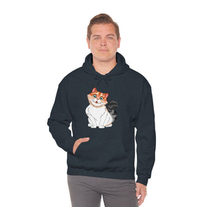 Ladies Hooded Sweatshirt