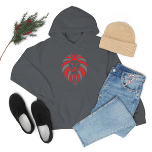 Kids Hoodies