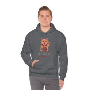 Ladies Hoodie