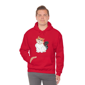 Ladies Hooded Sweatshirt