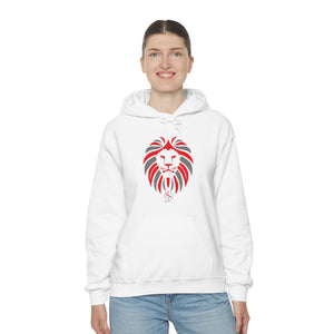 Men Hooded Sweatshirt