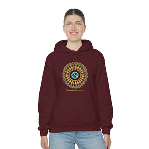 Ladies Hooded Sweatshirt