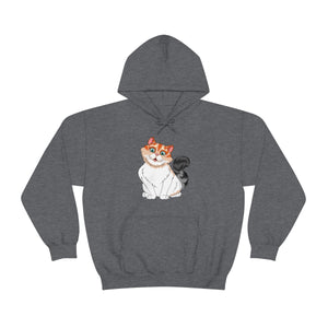 Ladies Hooded Sweatshirt