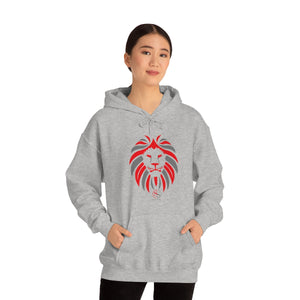 Men Hooded Sweatshirt