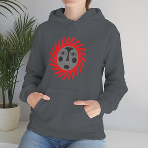 Kids Hoodies