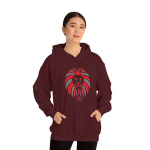Kids Hoodies