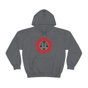 Kids Hoodies
