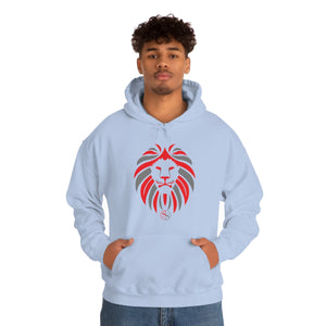 Kids Hoodies